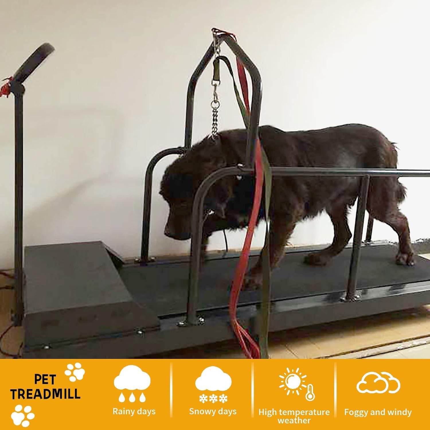Cinta de Correr para Perros Grandes y medianos, Equipo de Ejercicio para Mascotas, con Pantalla LCD, Velocidad de 0,8 a 12 km/h, para Entrenamiento en Interiores y Exteriores A