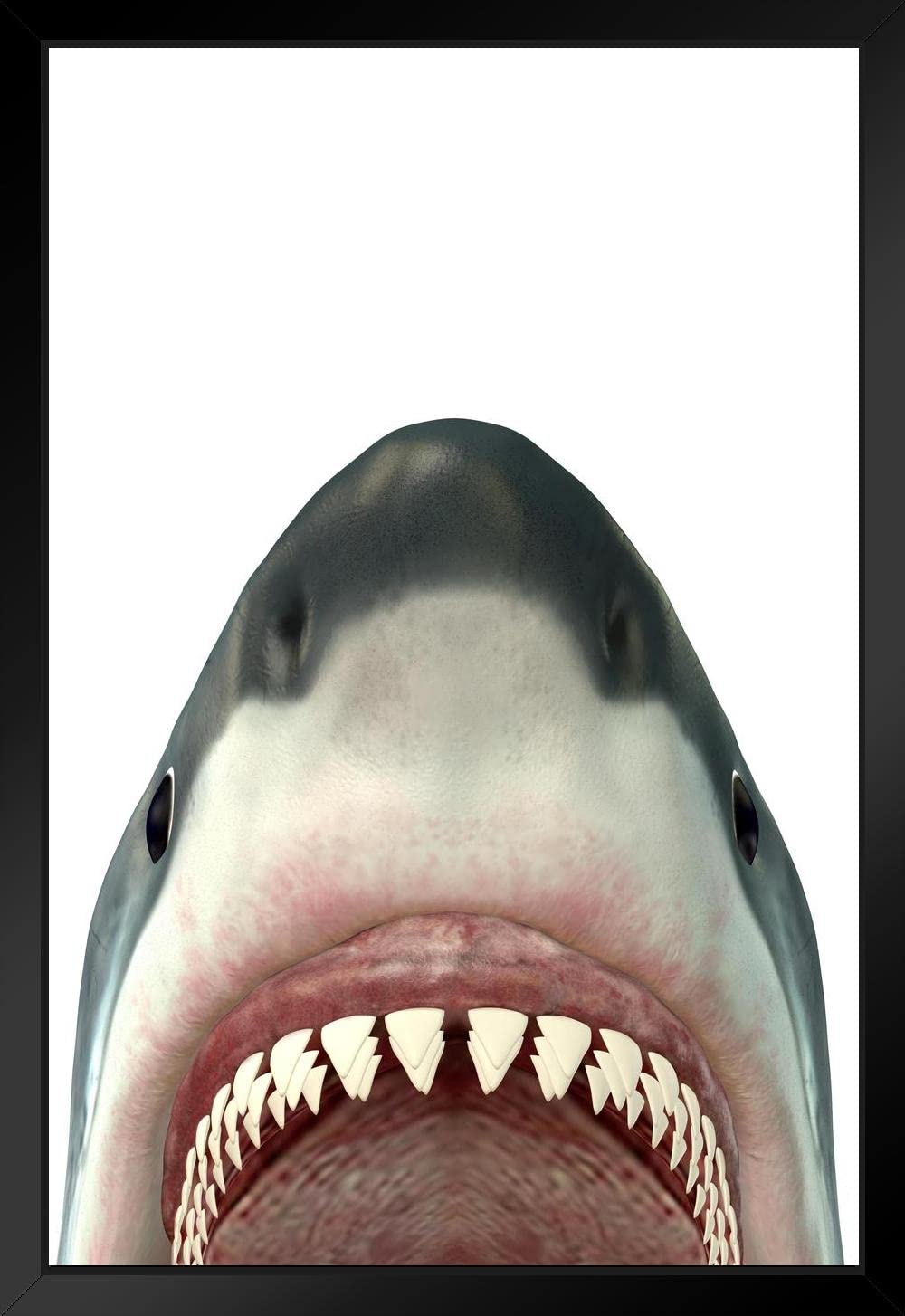 Amazon.co.jp: ホオジロザメの顎 攻撃 イラスト サメのポスター 壁用