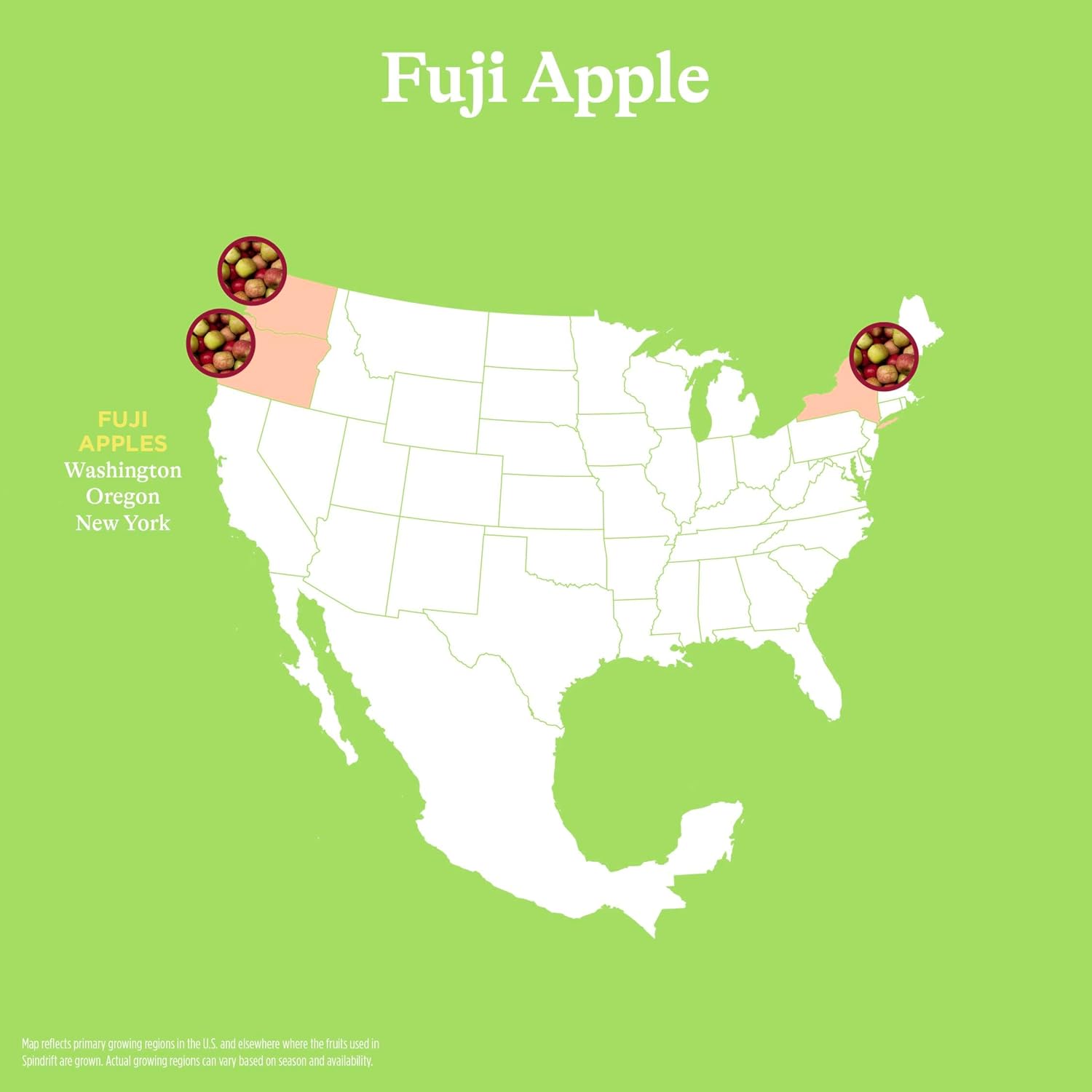 Spindrift Fuji Apple Can 12 Ounce (Pack of 24)