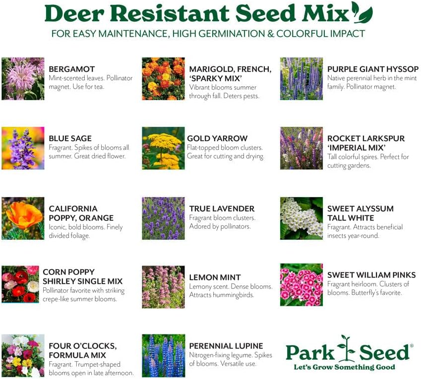 Park Seed Grow Your Own Vibrant Annual and Perennial Wildflower Garden Seed Mixture, Easy to Grow Varieties for Pollinators and Spring Gardens - Deer Resistant Mix, 1 lb