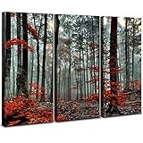 Forest Canvas Wall Art Nature Wall Decor Sunlight Through Red Leaves Giclee Print Painting Modern Ho