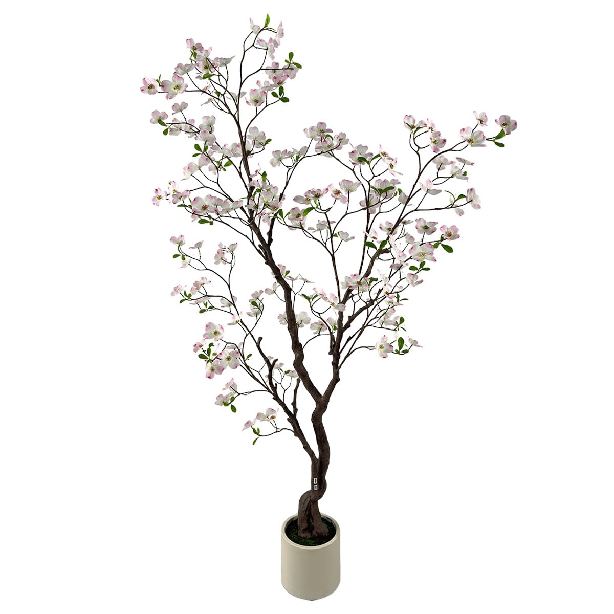 VIGGDA 6.2ft Pink Dogwood