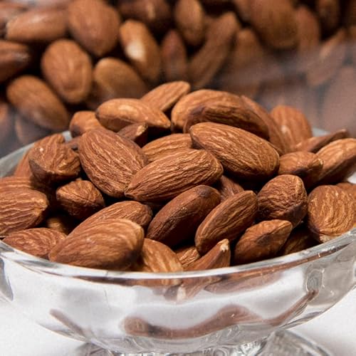 썑t[c y[ցzJtHjAYfĂA[h500g