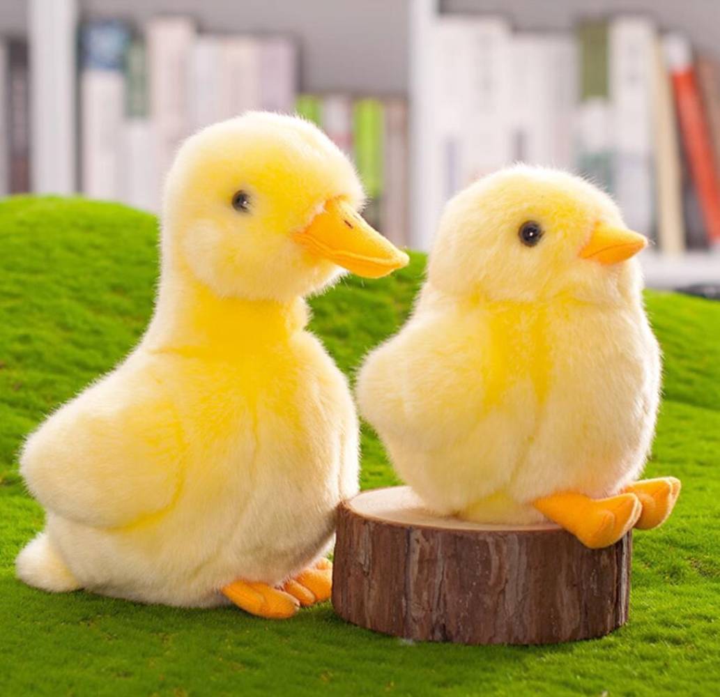 Amazon.co.jp: 6インチ 小さな黄色いひよこ 8インチ 小さな黄色い