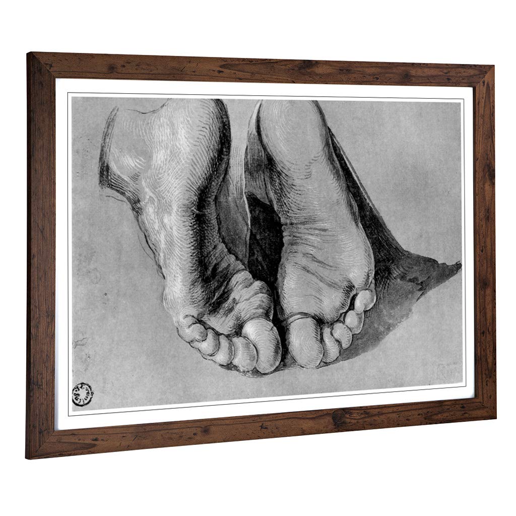 Big Box Art Framed Print of Albrecht Durer Feet of an Apostle Design | Wall Art Picture | Home Decor for Kitchen, Living Room, Bedroom, Hallway, Walnut, A2 / 24.5x18 Inch / 62x45cm