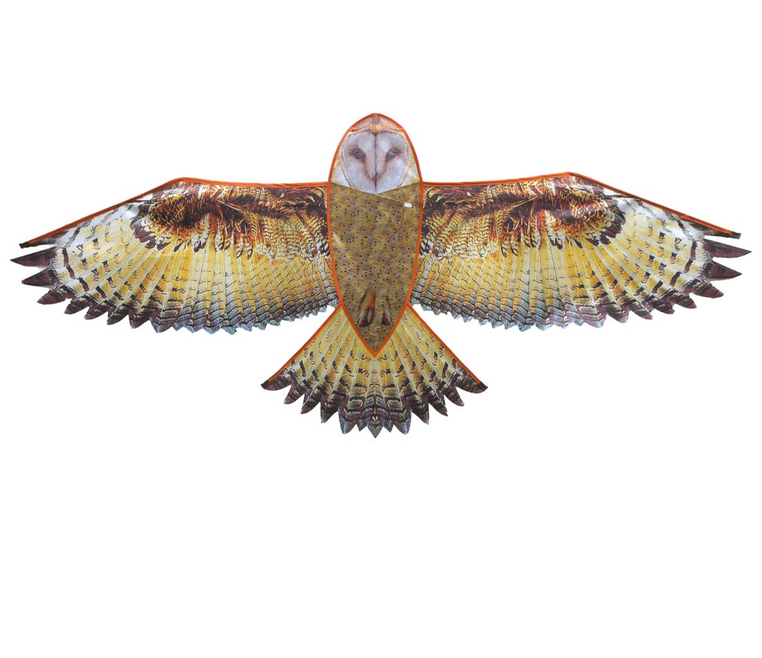 ZHUOYUE Kite for Kids and Adults, Easy to Fly Single Line Owl Kite for Outdoor Games and Sports with Kite Handle