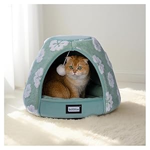 BALANCE Cat Beds for Indoor Cats, 2-in-1 Cat Bed Cave with Anti-Slip Bottom and Ultra-Soft Plush, Cozy Cats House Tent for Kittens and Small Dogs, 19 Inches, Green