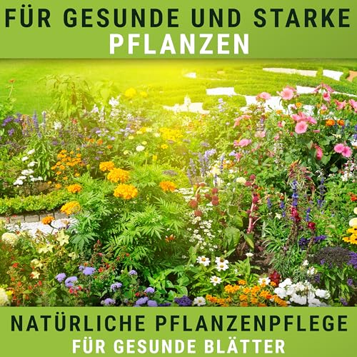 WENDOWERK® Neemöl [1000ml] - Inkl. Sprühflasche und Messbecher - Neemöl mit Emulgator zur direkten Anwendung - Niemöl zur natürlichen Pflanzenpflege für Indoor und Outdoor