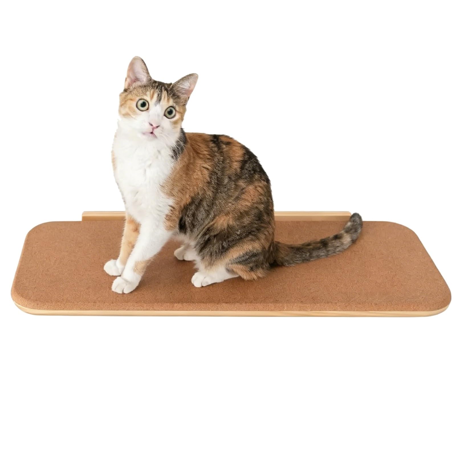 Estantes de Pared para Gatos, Percha de Pared de Madera de Pino de 65 cm, con Capacidad de Peso de 20 Kg para Dormir Y Jugar