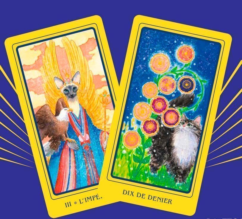 Amazon.co.jp: 2023年 フランスの激かわデッキキュートな猫たちの