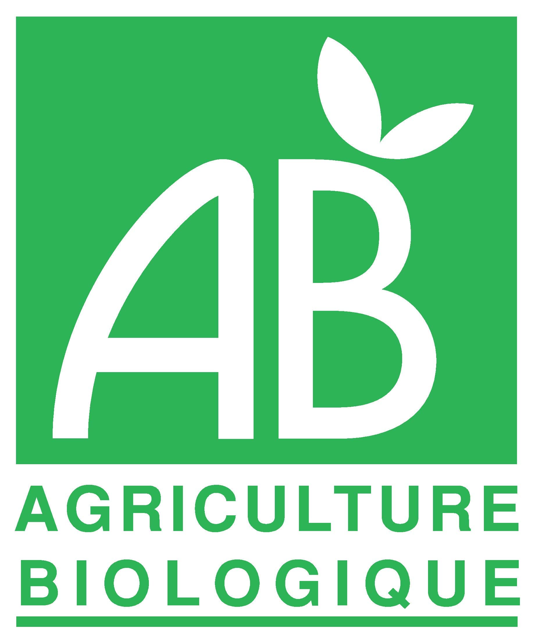 Cannelle de Ceylan biologique en poudre 1000gr. Origine Madagascar sachet zip alimentaire.