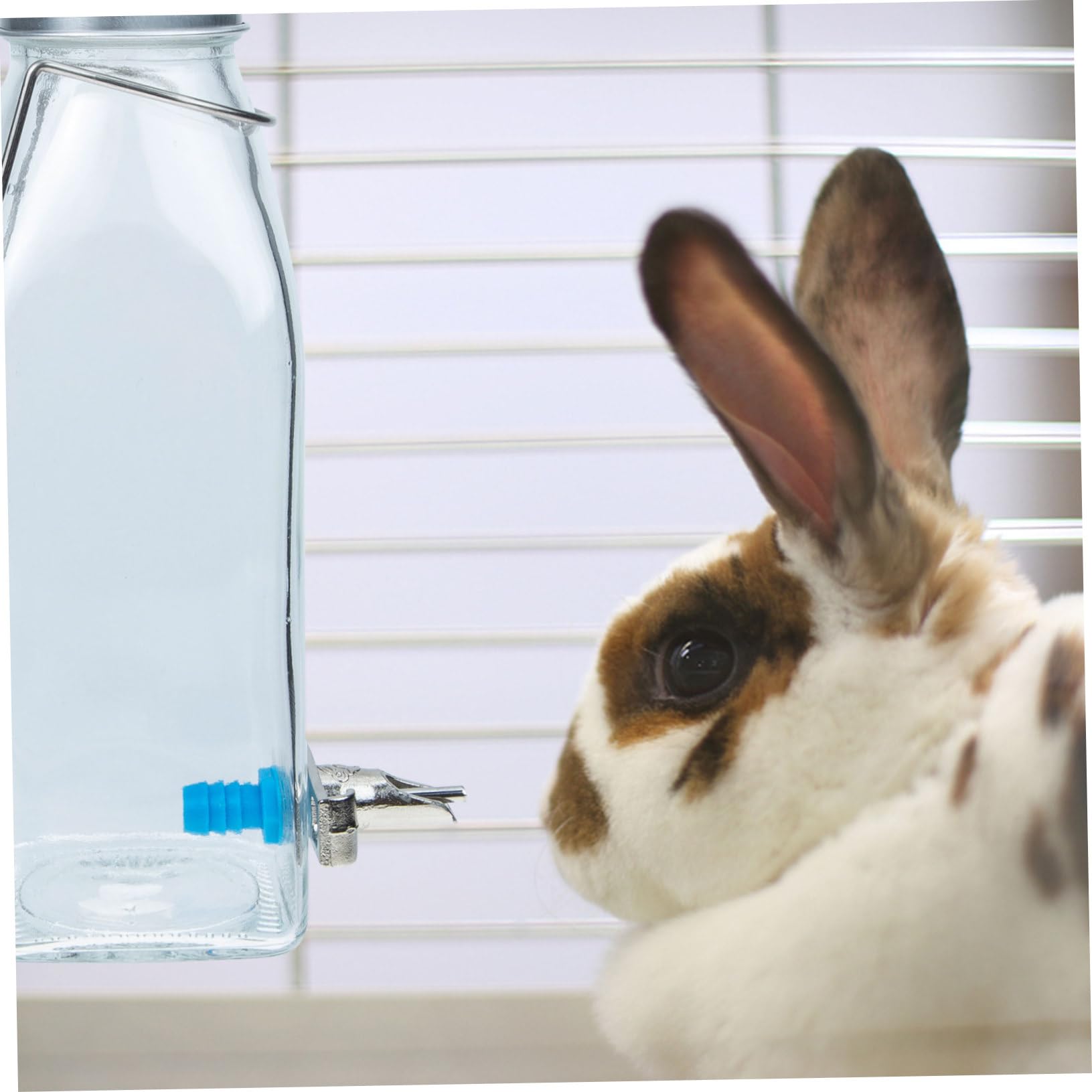 Gatuida Bebedero para Mascotas de Botella de Agua Colgante para Conejos Comedero de Agua Silencioso y Antigoteo para Hámsteres para Jaulas de Conejos