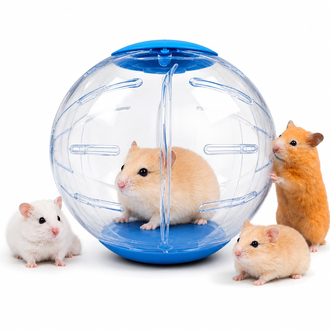 VAYINATO® P25 Medium Hamster Exercise Ball 14CM Transparent Running Ball | Safe Lock Design | Small Animal Exercise Toy for Syrian Hamsters, Mice & Rodents | Cage Accessories & Play Toy