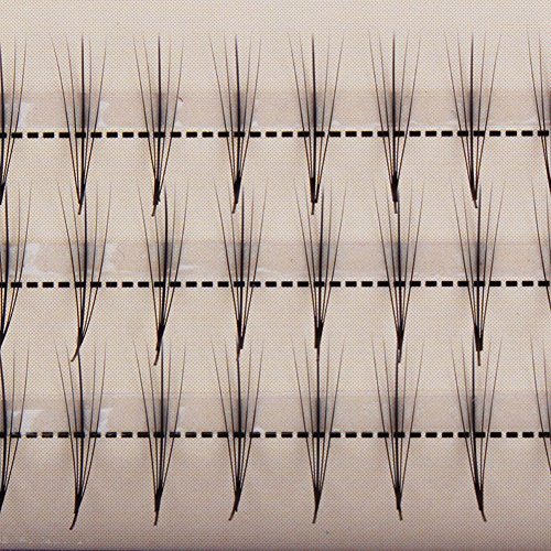 Scala Pro Granting 3D Mink Phoenix Tail Design Individual False Eyelashes Cluster 5 Root 0.07 C Curl Eye Lash Extension Health Makeup Tools (15Mm) #TOP2