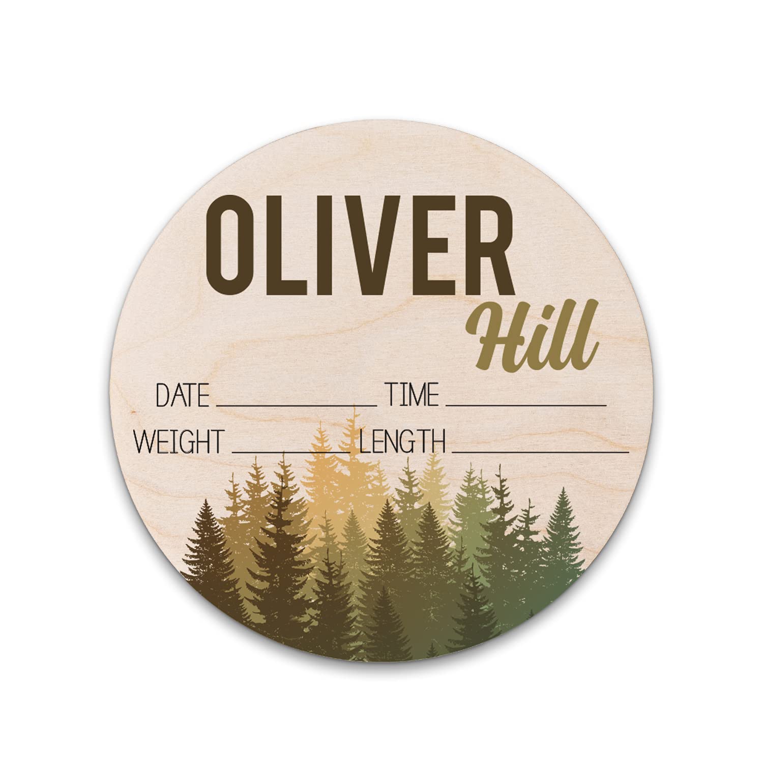 Birth Stat Sign Personalized for Newborn Baby, Oliver Hill Design, Crib & Nursery Decor, Photography Prop, Baby Shower Gifts, Gender Reveal, Pregnancy Announcement, Hickory Hollow Designs