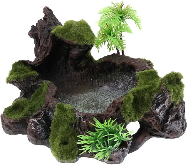 Fliyeong Harzschale für Terrarium: Dekorative Reptilien-Futterschale