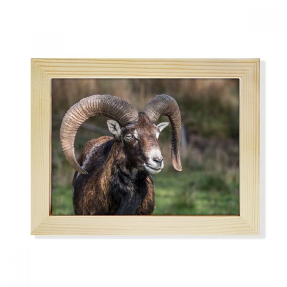 Pintura de naturaleza de bosque marco de madera para mesa de oficina