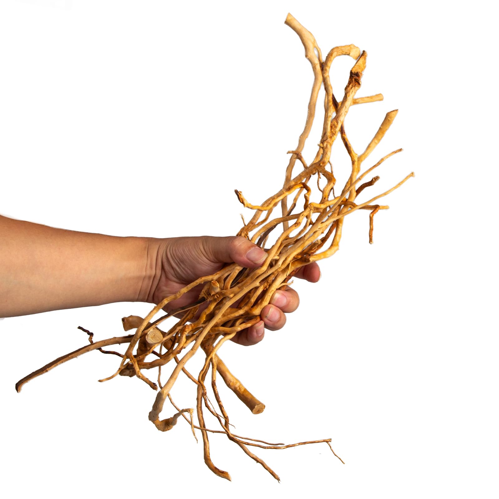 emours - Rami naturali per acquario, [170g] (40–80 cm / 16–32 pollici) - Rami unici di radice/ragno in legno per acquari, vasche con piante e terrari, decorazione per pesci e piante, ogni pezzo unico