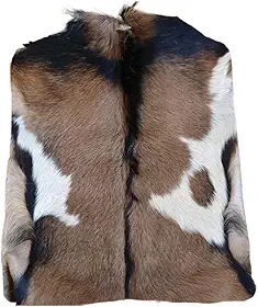 Manta para Cavalo Sela Vaquejada Profissional - Proteção Lombar Exclusiva, Modelo Novo Premium