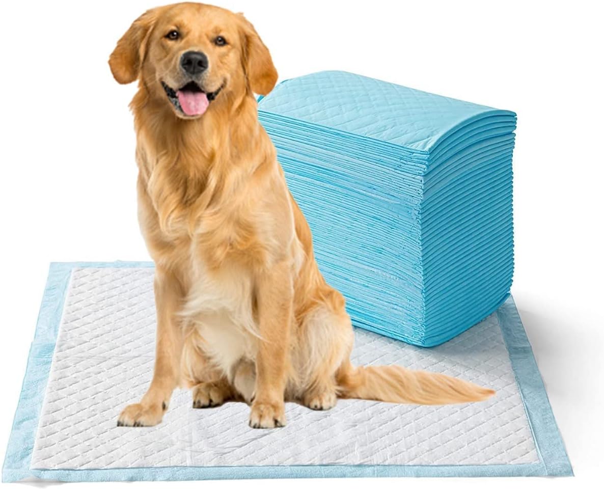 Bulldogology XL Puppy Training Pads with Adhesive Floor Tape, 60x90 cm, Training Pee & Potty Pads, Heavy Duty,Rapid Dry & Absorbent Core, Suitable for Puppies, Small,Medium, Large Dogs (100 Count)