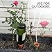 Plant Self-Watering Stakes for Indoor Outdoor Plants (4 Count) Terracotta Plant Watering Spikes for Recycled Wine Bottles to Water Plant at Home or on Vacation - Automatic Irrigation System for Plants
