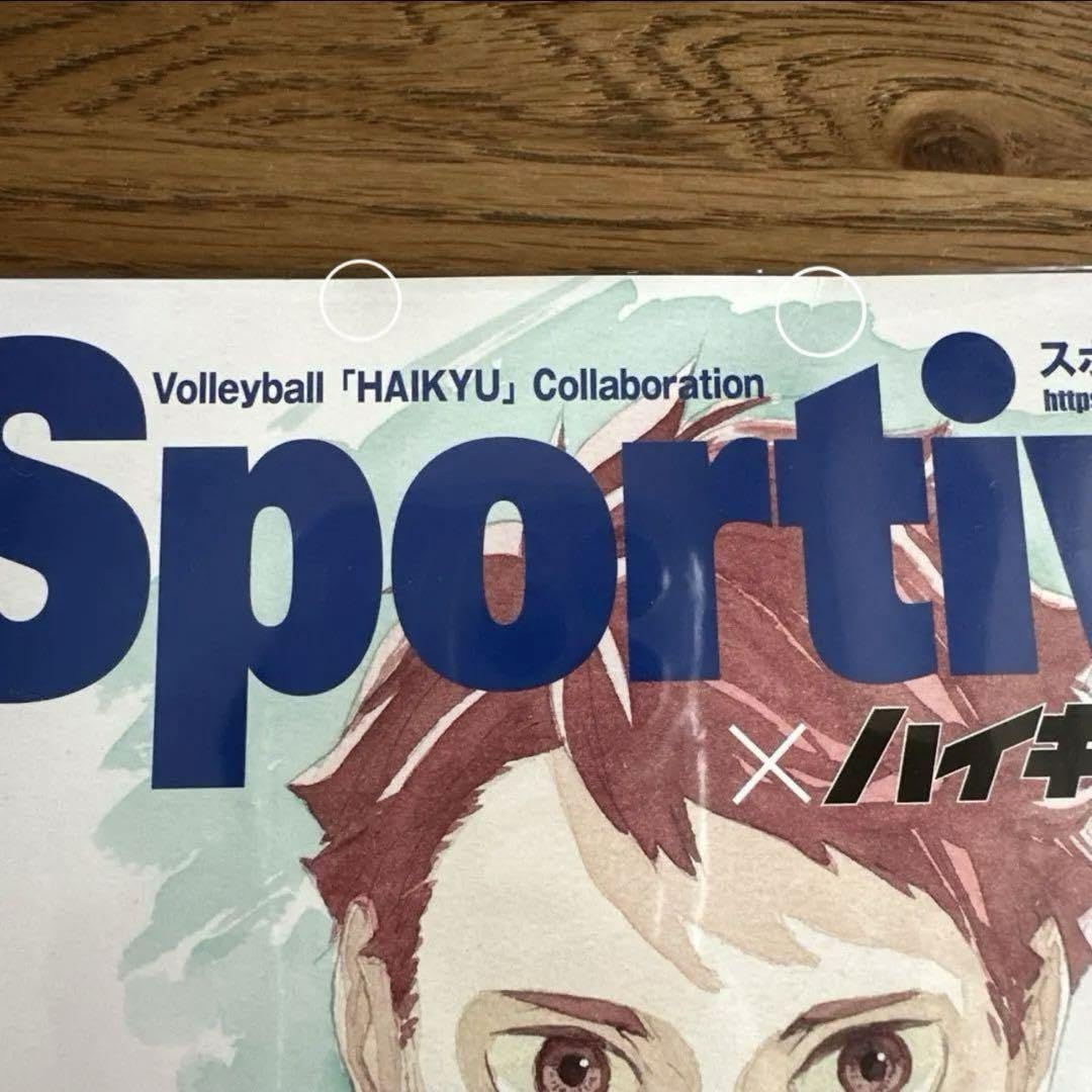 Amazon.co.jp: ハイキュー×Sportiva 13巻 小説＋ビジュアルボード 及川