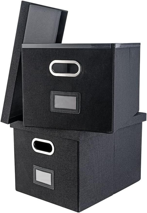 File Box Organizer with Lid, Set of 2, Hanging Filing