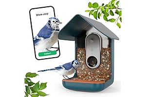 Birdbuddy Feeder - The Smartest Bird Feeder Ever