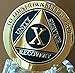 RecoveryChip 10 Year AA Medallion Elegant Black Gold Silver Bi-Plated Alcoholics Anonymous Chip