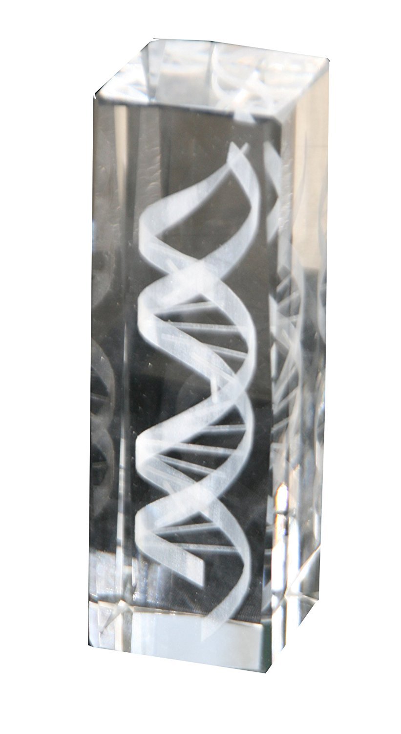 DNA Helix Crystal Statue (6 Inches in Height)