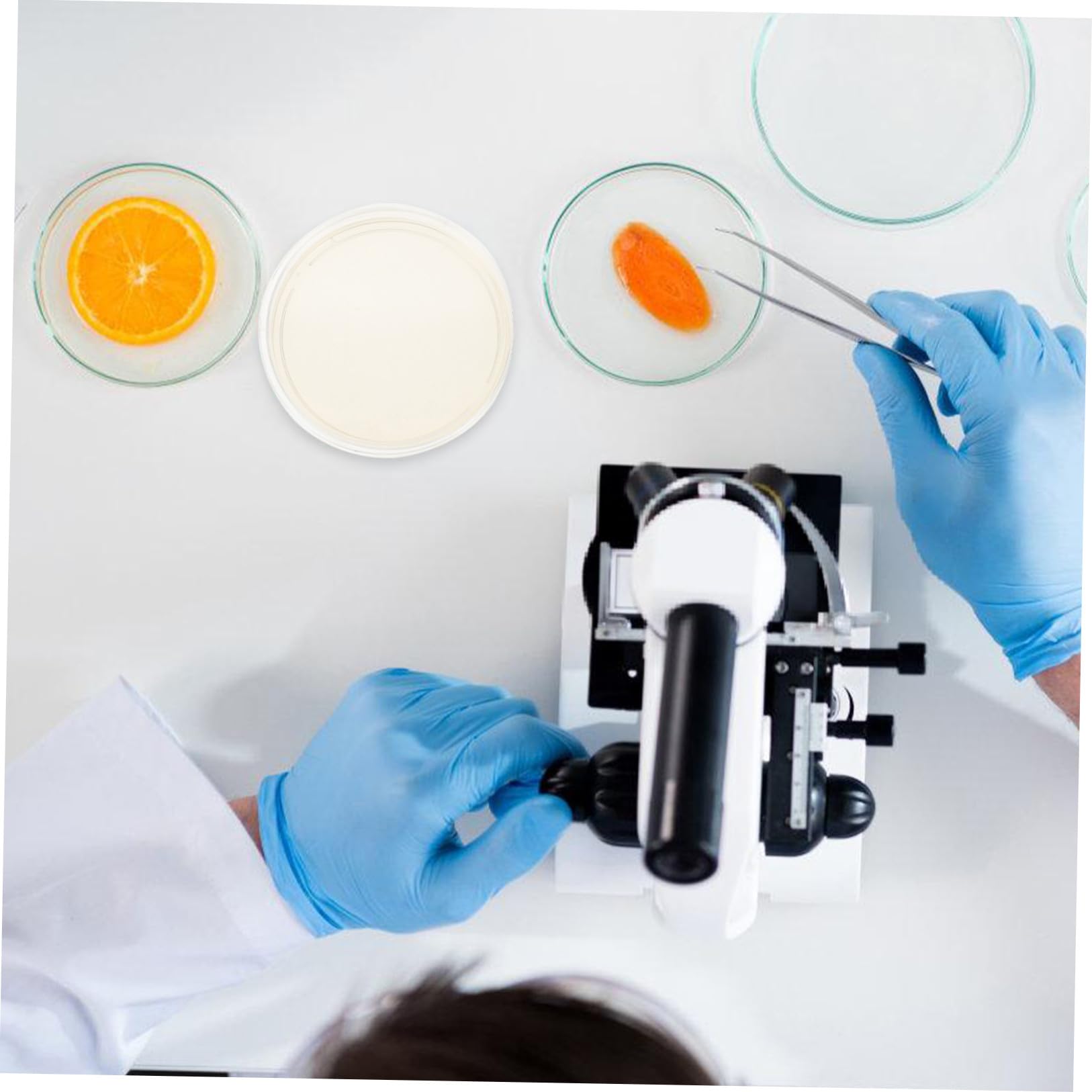 SECFOU Piastre di Petri in Plastica Agar Nutriente 20 Pezzi 9 Cm Coperchi Ermetici per Colture Stabili di Funghi e Cellule Uso Laboratoriale e Ricerca