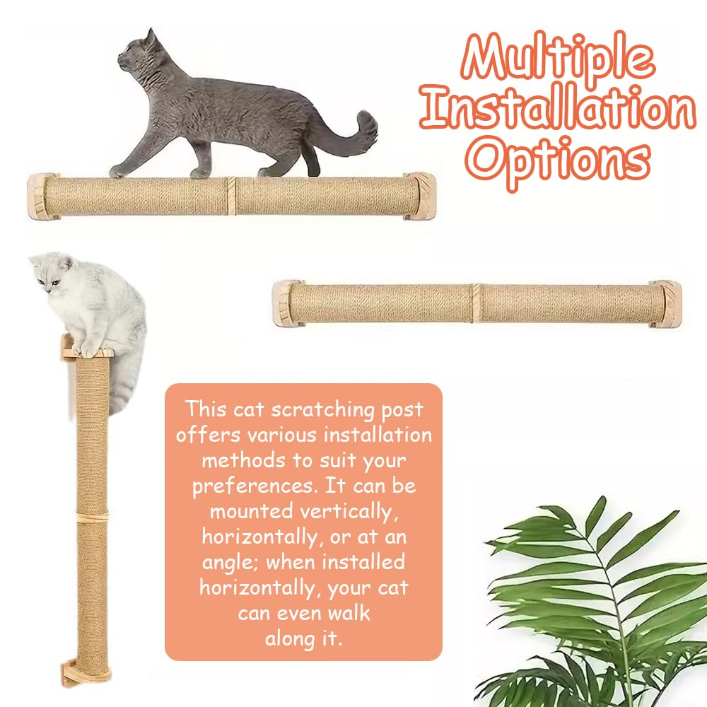 View 4