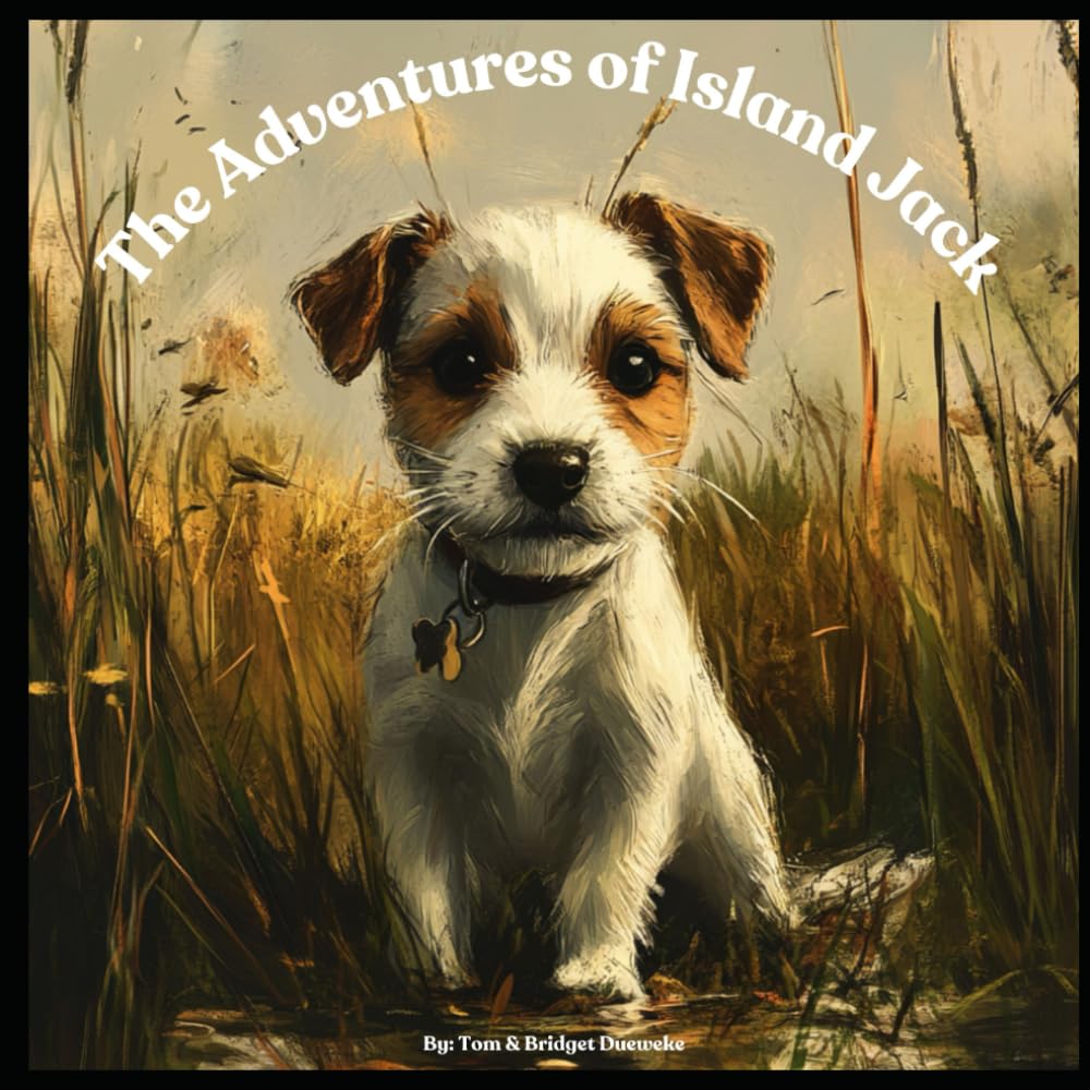 Adventure of Island Jack