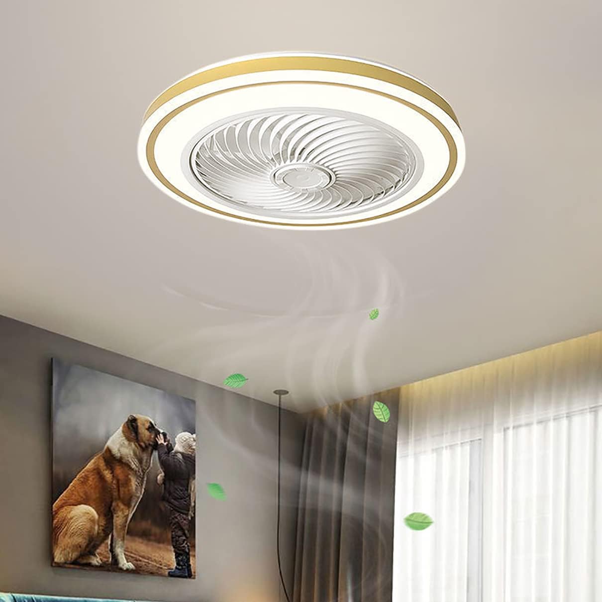 Silent Fan with Ceililight and Remote Control 3 Speeds Bedroom Led Fan Ceililight with Timer 36W Modern Liviroomt Ceilifan Light/D