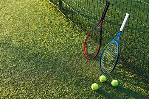 Head 235421-S3 Ti. Reward Pre-Strung 27 Inch Tennis Racquet thumb #1