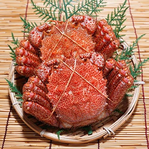Amazon | かにのマルマサ 北海道産 ゆで 毛ガニ 500g 2尾セット Amazon | かにのマルマサ 北海道産 ゆで 毛ガニ 500g 2尾セット
