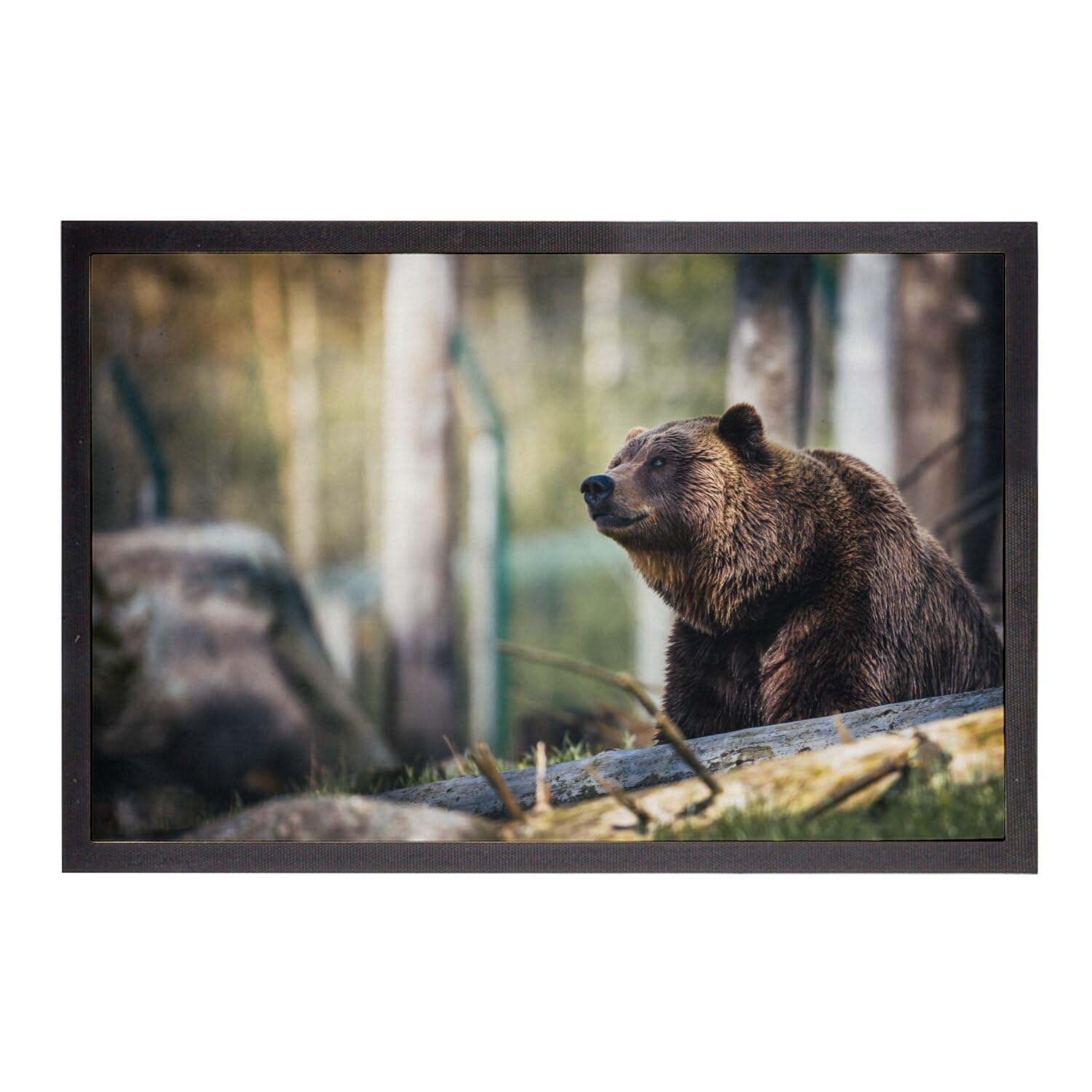 Paillasson Ours Brun Grizzly 75x50cm tapis de sol vie sauvage pour entrée de maison