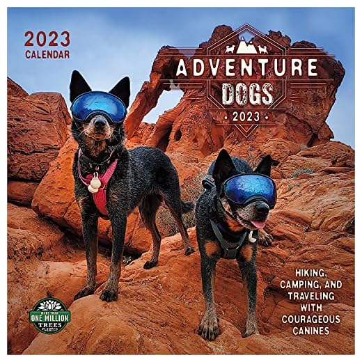 Adventure Dogs 2023 Wall Calendar: Hiking, Camping, and Traveling with Courageous Canines | 12" x 24" Open | Amber Lotus Publishing