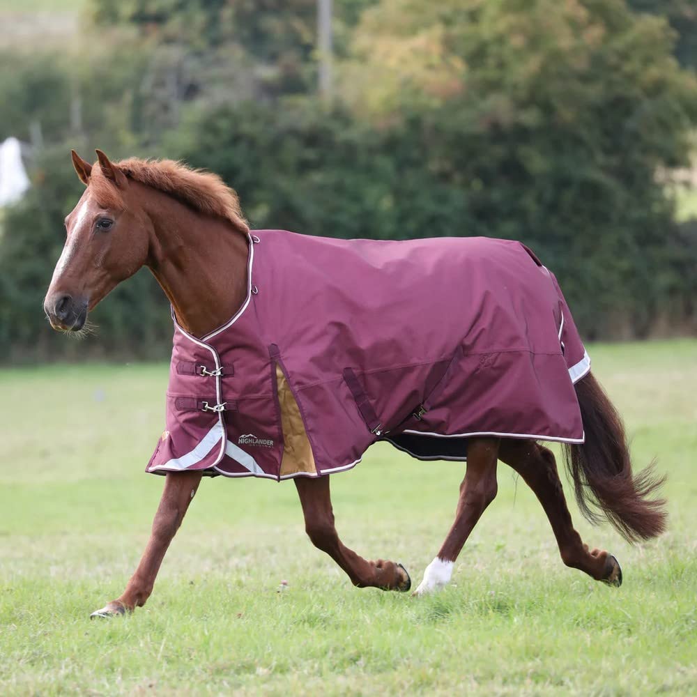 Shires Highlander Plus 100g Turnout Rug - Maroon 6'0" / 72", Maroon