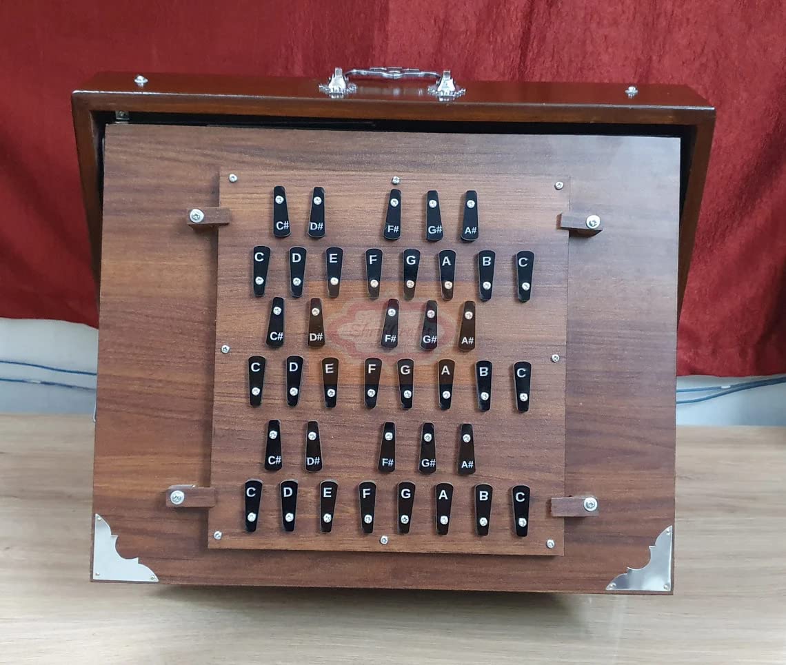  music instrument Shruti Box Large 39 Keys (17"X14"X3"), 3 Set Reeds