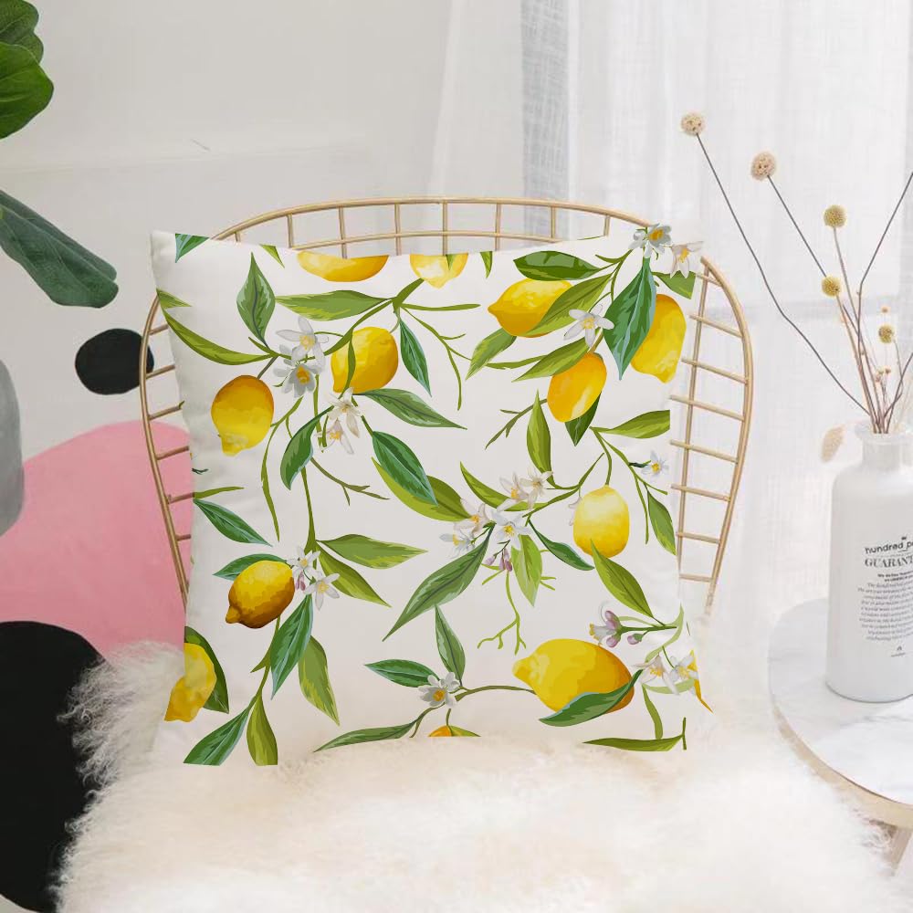 Hyosxw Nature, Flowering Lemon Woody Plant Romance - A10 Cushion Cover,Throw Pillow Case Home Decorative For Living Room Bedroom Sofa Chair 18X18 Inch,Nature, Flowering Lemon Woody Plant Romance Habitat Citrus Fresh Background,Pillowcase 45X45cm