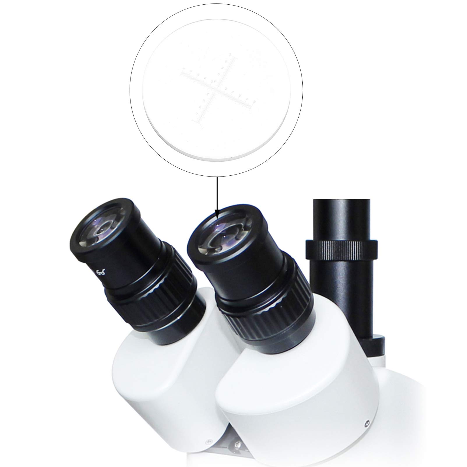 Baluue 3pièces Règle De Mesure Oculaire pour Microscope Micromètre De Précision pour Analyse Quantitative Et Calibration des Paramètres Techniques