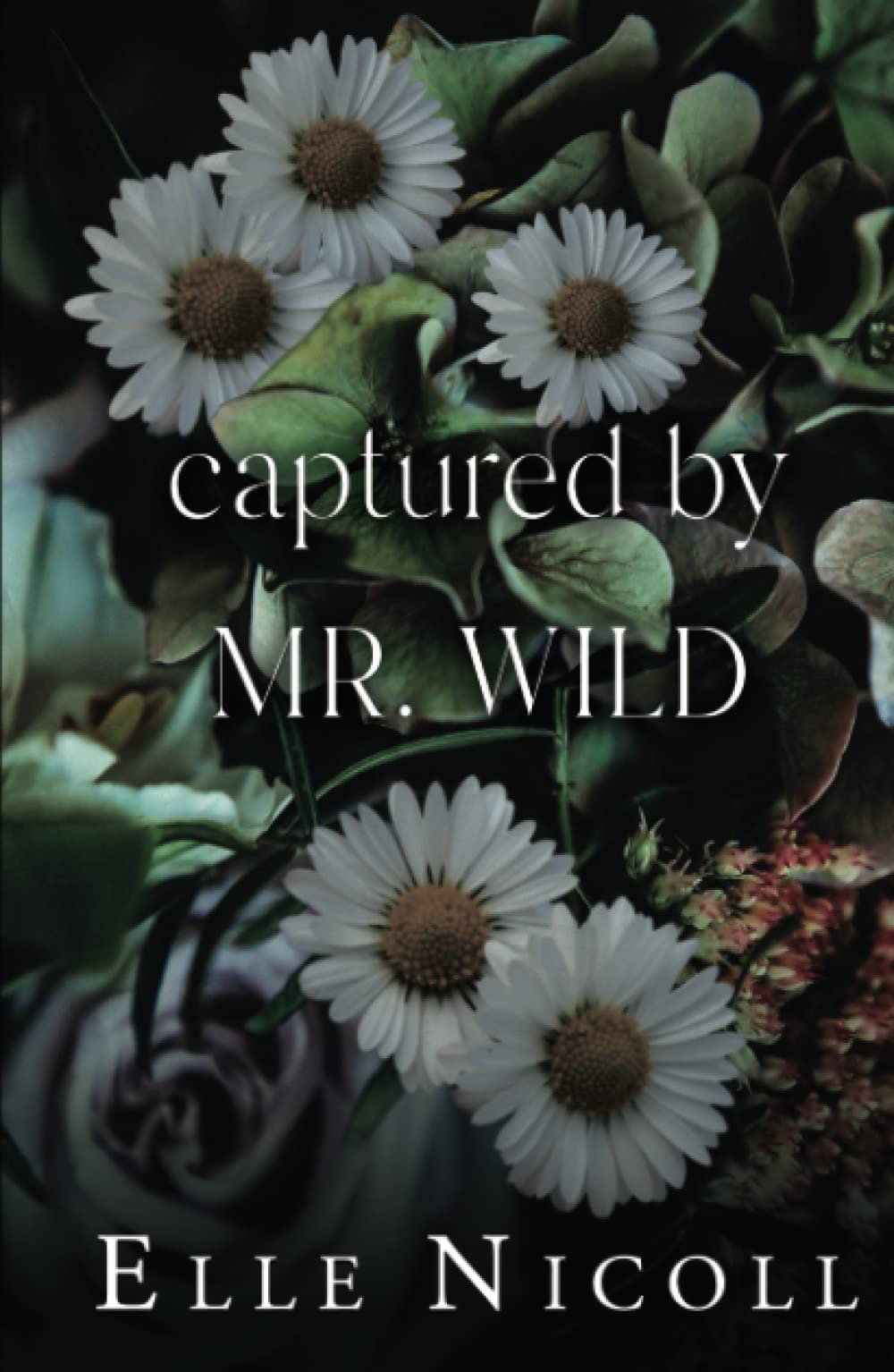 Captured by Mr. Wild (The Men Series - Interconnected Standalone Romances)