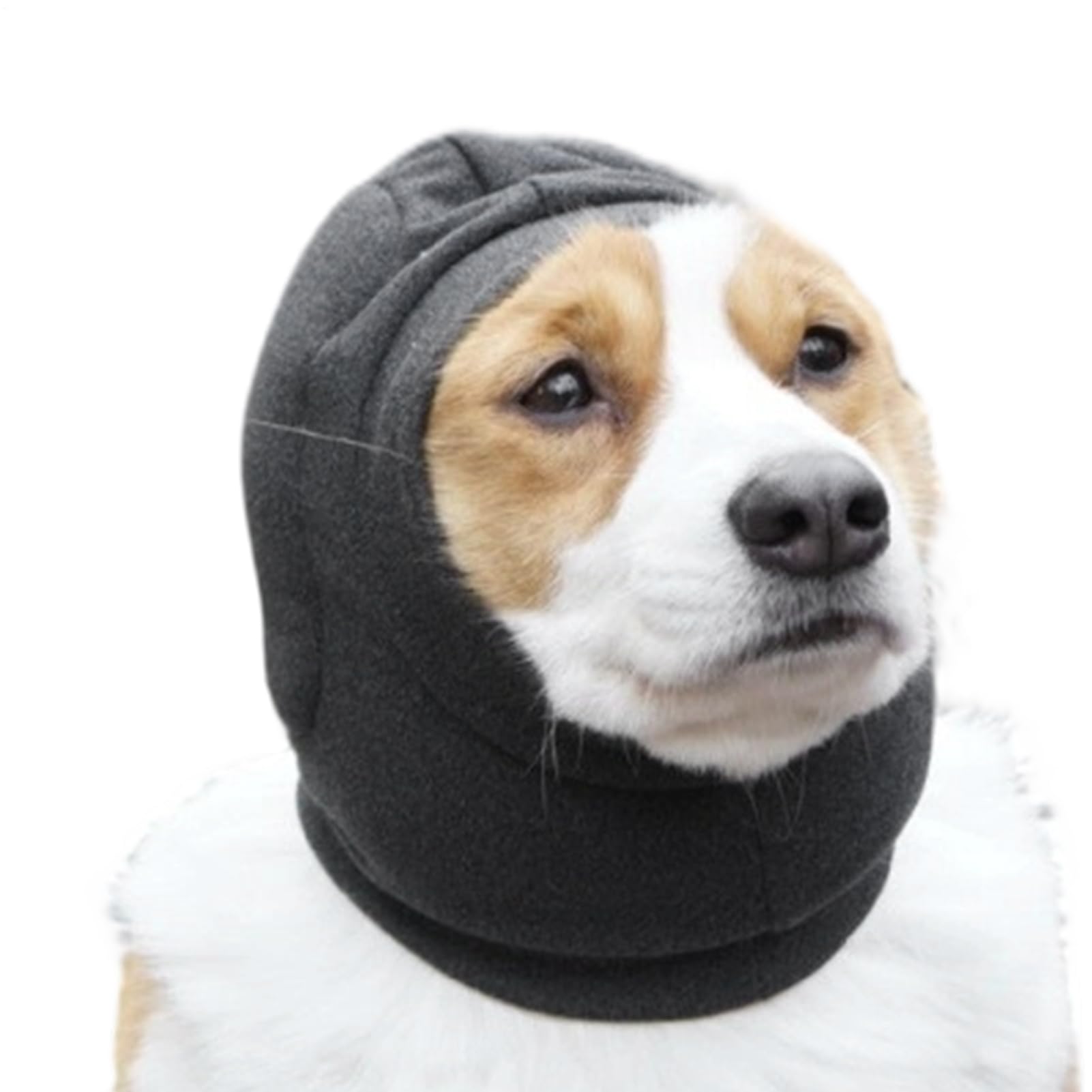 Cache-oreilles pour chiot élastique et doux assurant une haute protection contre le bruit et l'eau