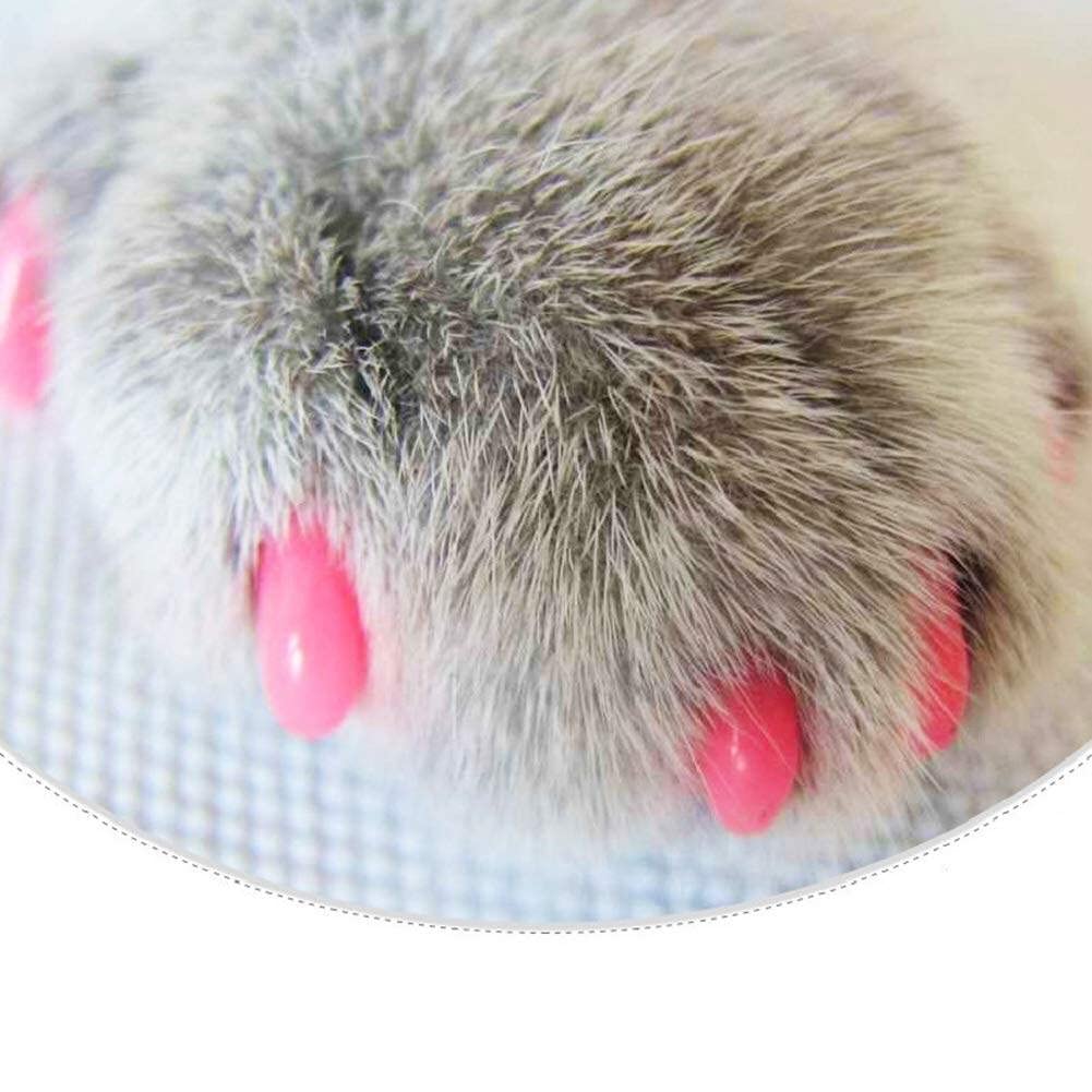 20pcs Soft Reusable Plastic Colorful Cat Nail Caps Paw Claw
