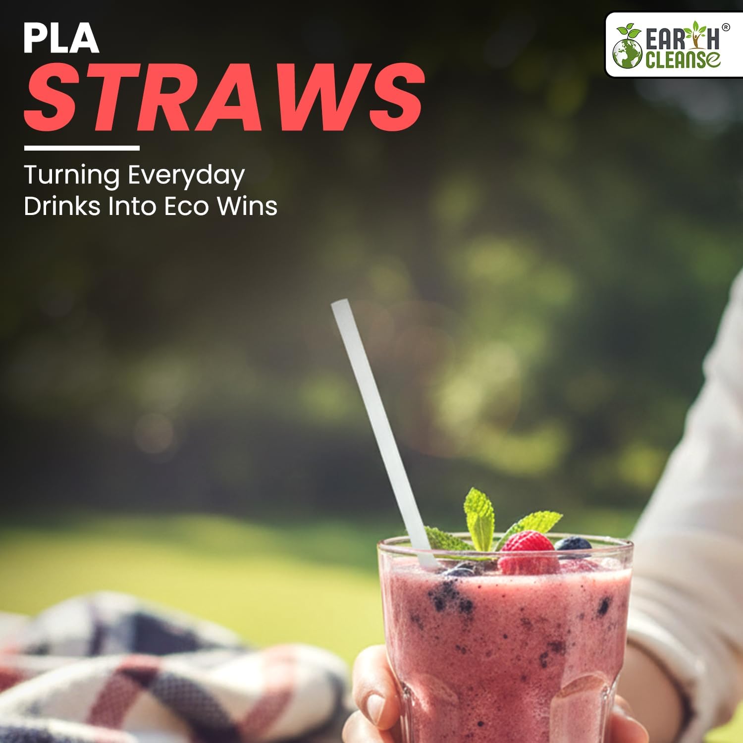 EARTH CLEANSE Compostable PLA Straws 6mm x 260mm 210 Micron Pack of 10000 Eco-Friendly Biodegradable Drinking Straws Plastic-Free Sustainable Cups Straws for Restaurants, Cafes, Parties