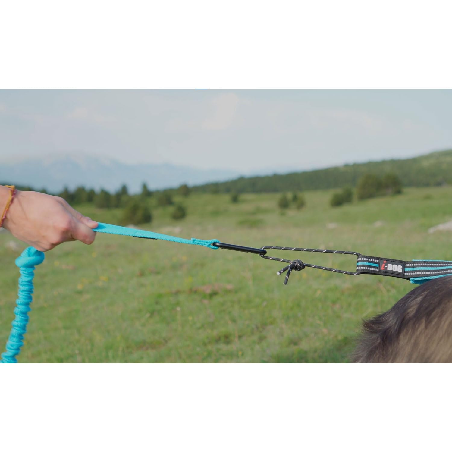 Führleine (Leine) für Hunde mit Stoßdämpfer One Canicross, Canirando, Canijogging, Canitrail, intensive Nutzung Sport oder Freizeit, I-dog ist eine französische Marke (Orange)