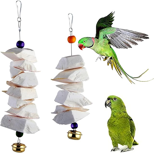 Parrot Cuttlefish Bone Fragile Molar Bell Swing Climb Chew Toys Grinding Birds Beak and Calcium Supplement For Bone Parakeet Cockatiel Lovebird (Set-A)