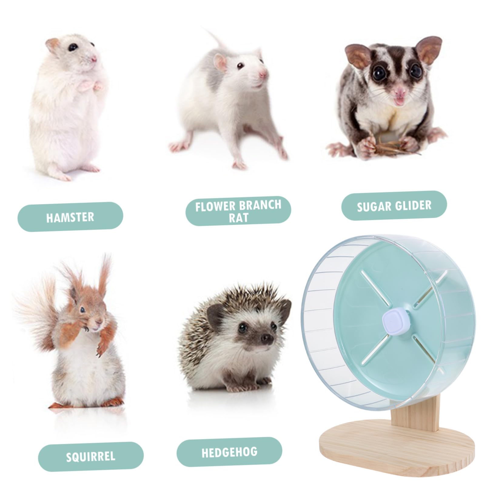 Rueda de Hámster Silenciosa y Estable de 20 Cm Soporte, Diseño Ergonómico de Abs y Madera para Jaula y Ejercicio de Mascotas Pequeñas