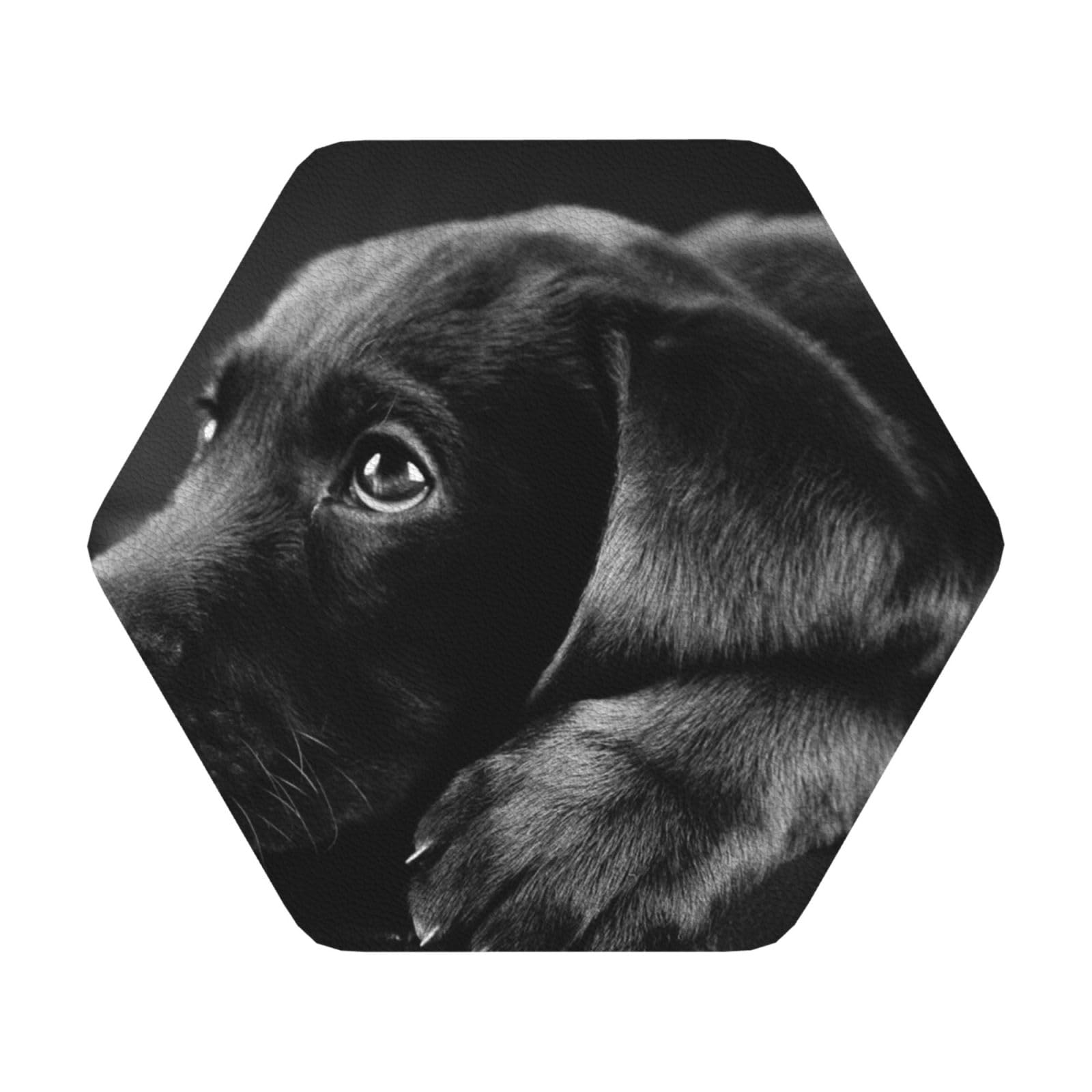 puppies dog PU Leather Coasters Set of 6 Hexagon Drink Coasters